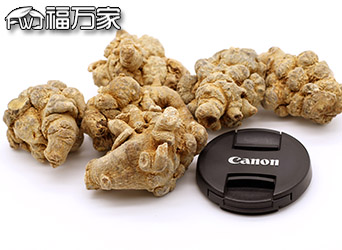 文山三七 文山三七