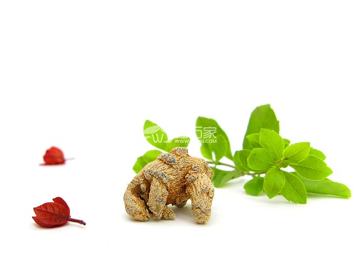 三七是什么 三七是什么