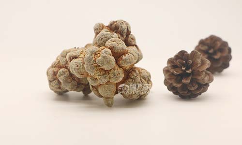 文山福萬家三七 吃三七燉雞就能長高?