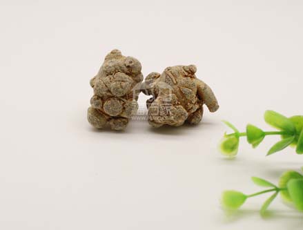 三七的功效是炒作的、假的嗎? 三七的功效是炒作的、假的嗎?