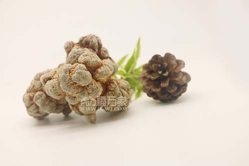 三七的功效是炒作的、假的嗎? 三七的功效是炒作的、假的嗎?