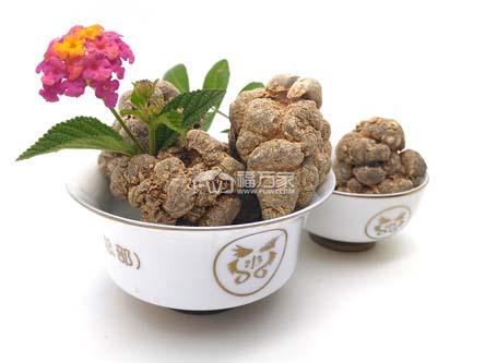 關于三七粉的購買 關于三七粉的購買