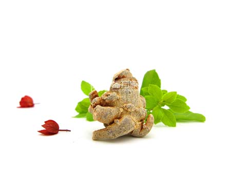 三七粉的效用是什么? 三七粉的效用是什么?