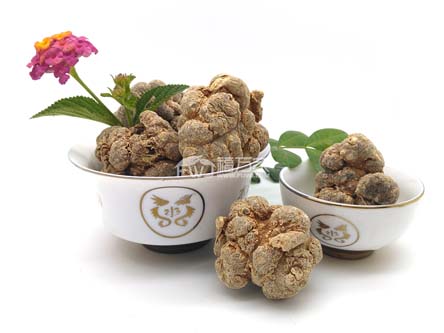 三七粉對(duì)胃有傷害嗎? 三七粉對(duì)胃有傷害嗎?