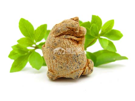 三七哪里賣?網(wǎng)購三七首選文山福萬家 三七哪里賣?網(wǎng)購三七首選文山福萬家