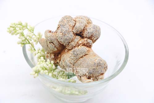 三七的效用介紹 三七的效用介紹