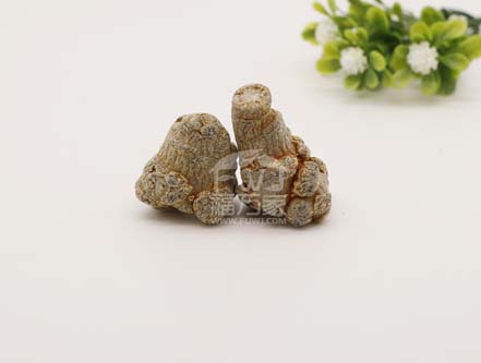 三七的效用會受喝茶影響嗎? 三七的效用會受喝茶影響嗎?