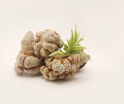 田七粉的作用與功效是什么? 田七粉的作用與功效是什么?