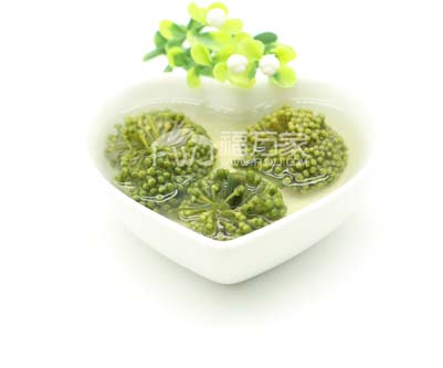 四年三七花哪里買?多少錢一斤 四年三七花哪里買?多少錢一斤