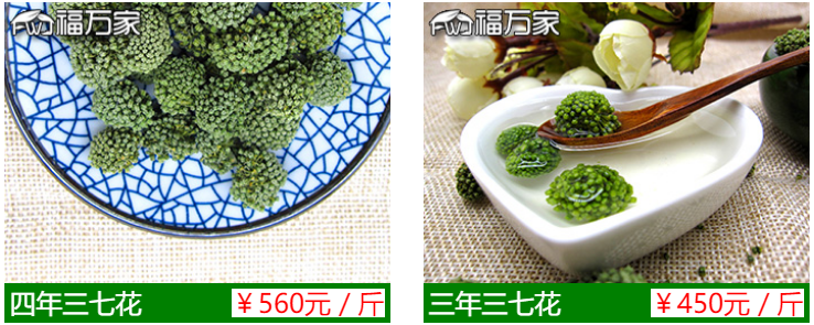 三七花價格 三七花價格