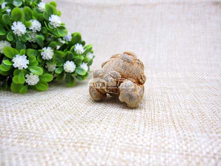 三七粉適合什么人吃？