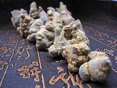 文山自產(chǎn)自銷三七當然更值得信賴 文山自產(chǎn)自銷三七當然更值得信賴