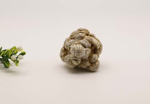 三七的效用竟然還能改善亞健康? 三七的效用竟然還能改善亞健康?