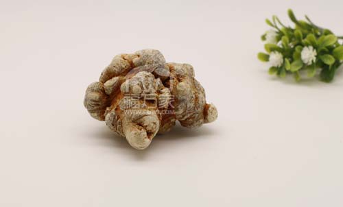 三七的效用為什么對風濕痛有用? 三七的效用為什么對風濕痛有用?