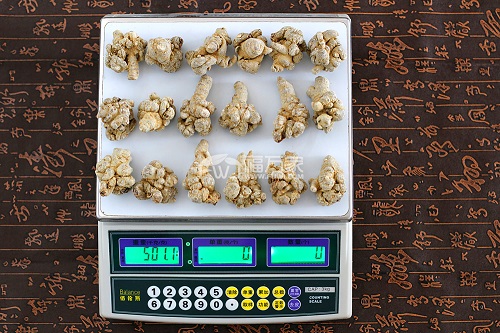 18頭三七 18頭三七