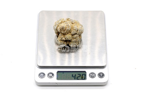 10頭三七 10頭三七