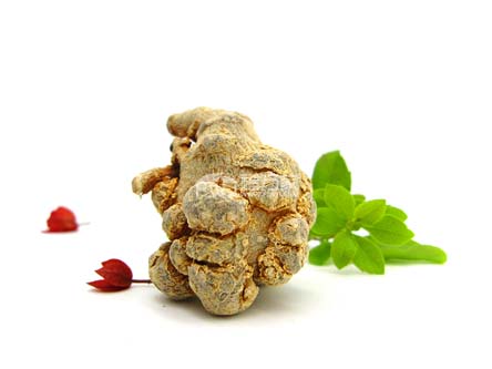 三七帶帽的好還是滑頭的更好？