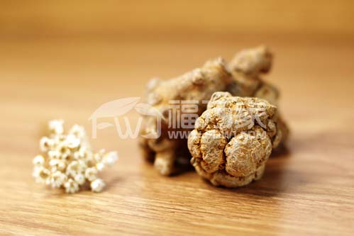 三七粉一天吃多少量? 三七粉一天吃多少量?