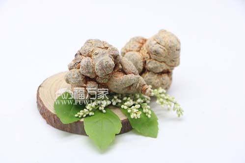 怎樣才能買到真正的三七粉 怎樣才能買到真正的三七粉