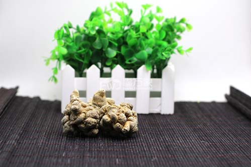 東北產三七嗎?三七在北方能種嗎 東北產三七嗎?三七在北方能種嗎