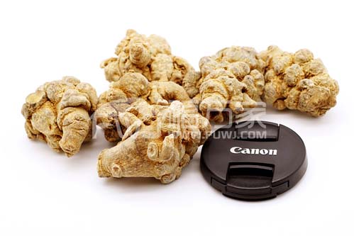 買三七粉好還是買三七塊來打粉好 買三七粉好還是買三七塊來打粉好