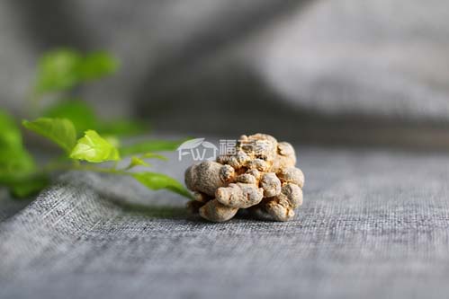 什么樣的三七粉才是好三七粉 什么樣的三七粉才是好三七粉