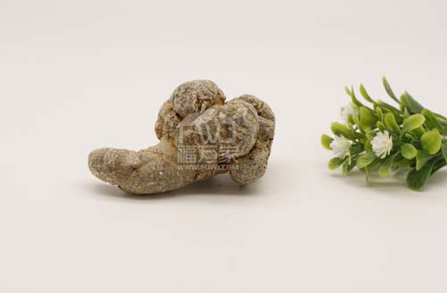 三七粉天天吃是對身體好 三七粉天天吃是對身體好