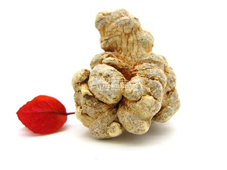 什么樣的三七好 什么樣的三七好