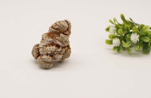 三七粉怎樣吃 三七粉怎樣吃