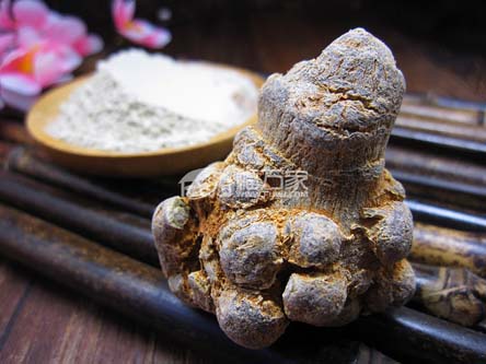 三七粉降血壓 三七粉降血壓