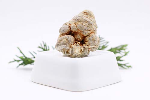 吃三七粉失眠 吃三七粉失眠