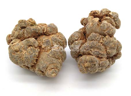 三七燉雞都能吃 三七燉雞都能吃