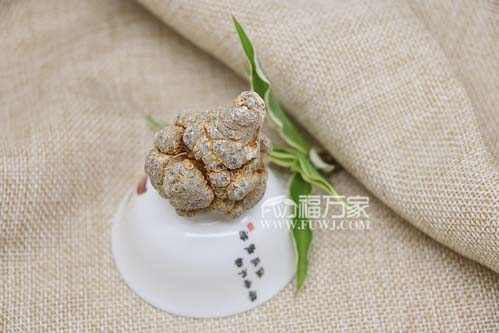 到哪里去買的三七粉 到哪里去買的三七粉