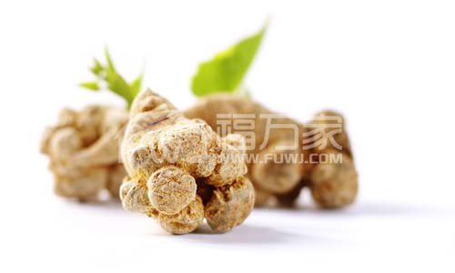 火氣大易上火吃三七粉問題 火氣大易上火吃三七粉問題