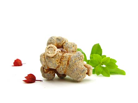 藥店買真三七粉 藥店買真三七粉