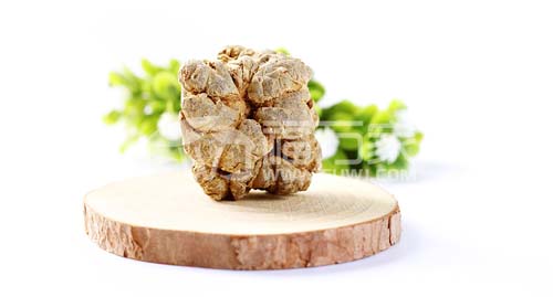 買三七頭自己打粉 買三七頭自己打粉