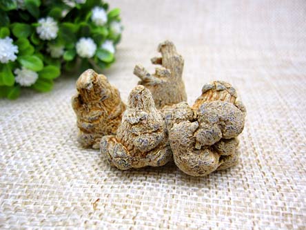 吃三七粉早晚一次嗎 吃三七粉早晚一次嗎