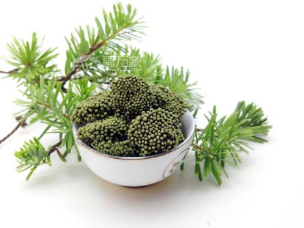 喝三七花的時(shí)間 喝三七花的時(shí)間