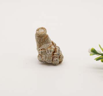 正常好品質三七 正常好品質三七