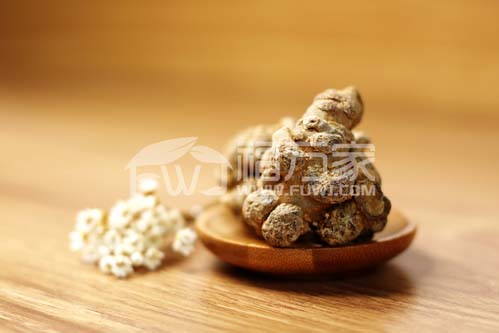 文山更適合種三七 文山更適合種三七