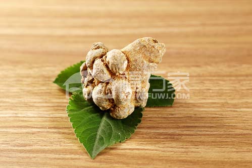 滑頭三七 滑頭三七