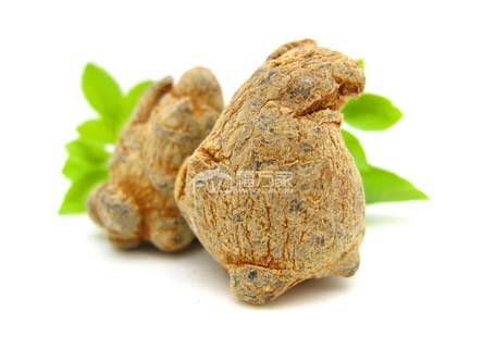 20頭三七多大 20頭三七多大