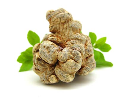 三七能用來干什么 三七能用來干什么