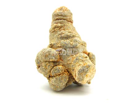 大個的不帶剪口的好三七 大個的不帶剪口的好三七