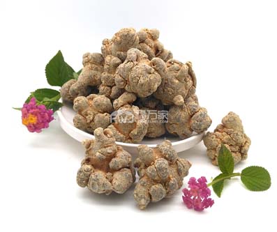 吃三七粉降高血壓幫助大 吃三七粉降高血壓幫助大