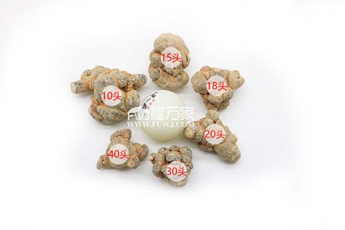 三七頭數信息 三七頭數信息