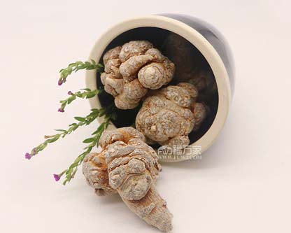 三七粉的成分從哪里提取 三七粉的成分從哪里提取