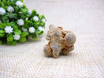 三七的種植年份與大小 三七的種植年份與大小