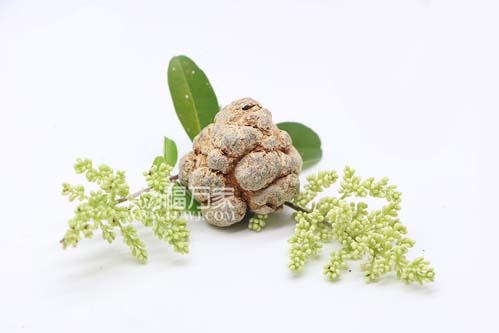 飯后吃三七粉的消化吸收 飯后吃三七粉的消化吸收