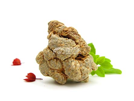 10頭的三七 10頭的三七